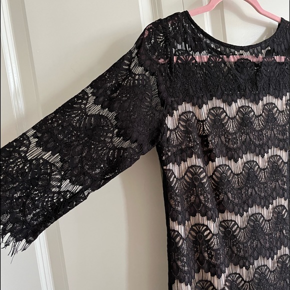 Wallis Uk 14 Timeless Black Lace Beige Lined Lace Shift Dress - Picture 5 of 8